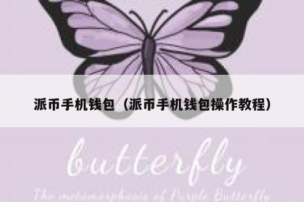 派币手机钱包（派币手机钱包操作教程） 第1张