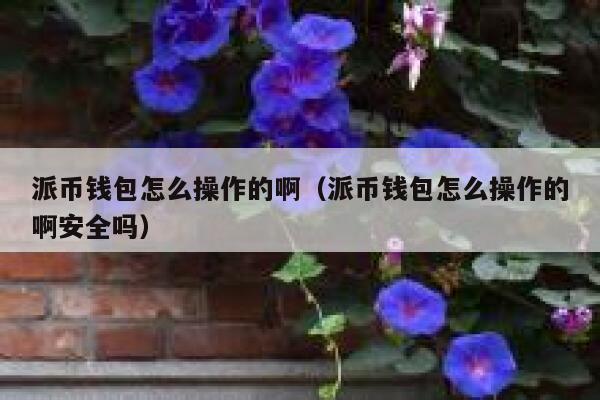 派币钱包怎么操作的啊（派币钱包怎么操作的啊安全吗） 第1张