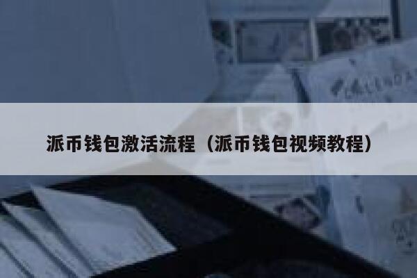 派币钱包激活流程（派币钱包视频教程） 第1张