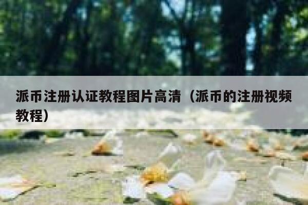 派币注册认证教程图片高清（派币的注册视频教程） 第1张