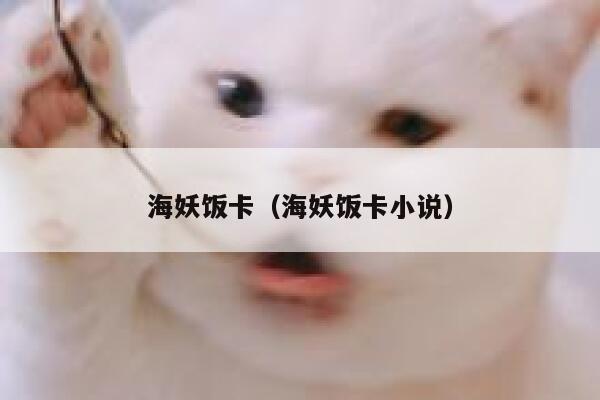 海妖饭卡（海妖饭卡小说） 第1张