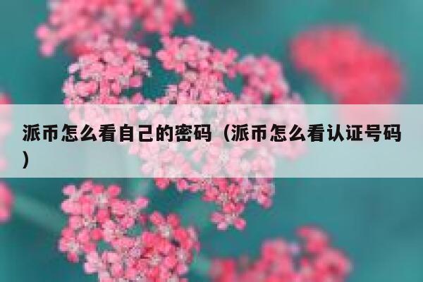 派币怎么看自己的密码（派币怎么看认证号码） 第1张