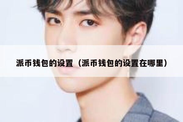 派币钱包的设置（派币钱包的设置在哪里） 第1张