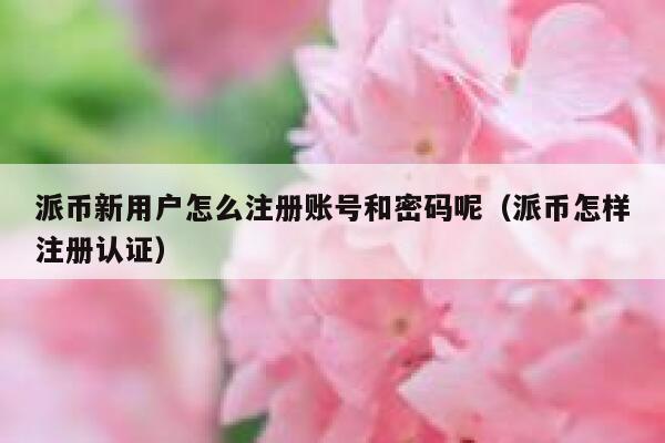 派币新用户怎么注册账号和密码呢（派币怎样注册认证） 第1张
