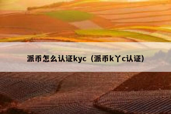 派币怎么认证kyc（派币k丫c认证） 第1张