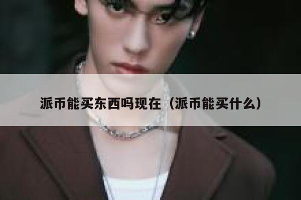 派币能买东西吗现在（派币能买什么） 第1张