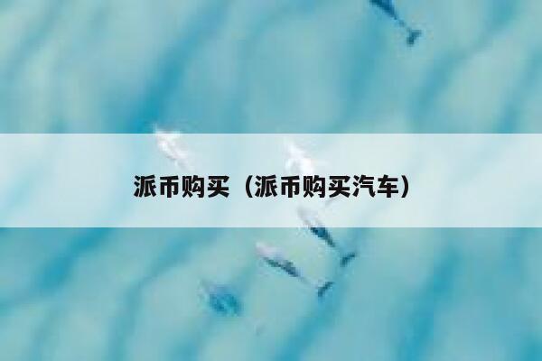 派币购买（派币购买汽车） 第1张