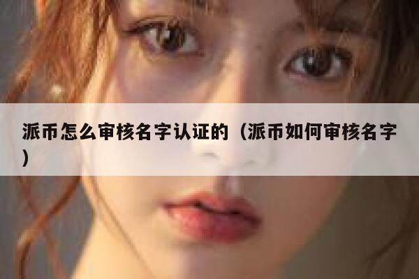 派币怎么审核名字认证的（派币如何审核名字） 第1张