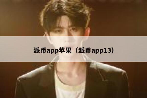 派币app苹果（派币app13） 第1张