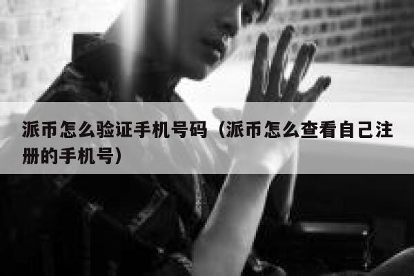 派币怎么验证手机号码（派币怎么查看自己注册的手机号） 第1张