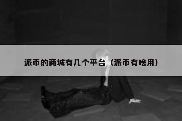 派币的商城有几个平台（派币有啥用） 第1张