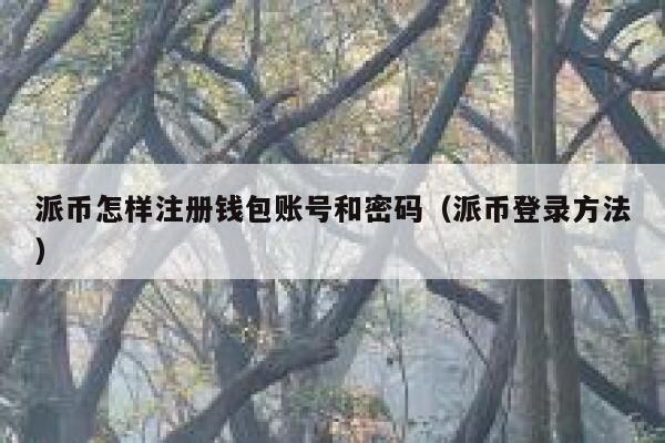 派币怎样注册钱包账号和密码（派币登录方法） 第1张
