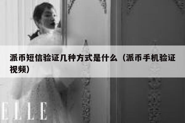 派币短信验证几种方式是什么（派币手机验证视频） 第1张
