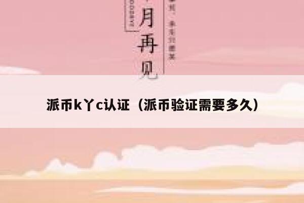 派币k丫c认证（派币验证需要多久） 第1张