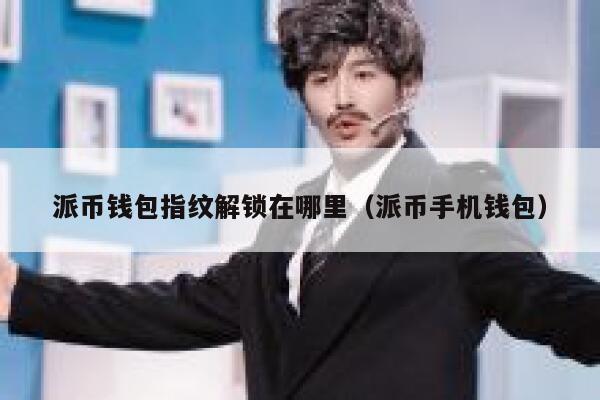 派币钱包指纹解锁在哪里（派币手机钱包） 第1张