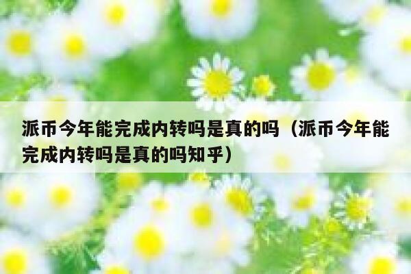 派币今年能完成内转吗是真的吗（派币今年能完成内转吗是真的吗知乎） 第1张