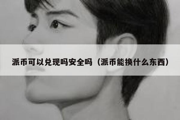 派币可以兑现吗安全吗（派币能换什么东西） 第1张