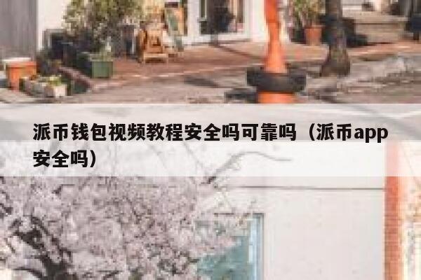 派币钱包视频教程安全吗可靠吗（派币app安全吗） 第1张