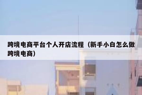 跨境电商平台个人开店流程（新手小白怎么做跨境电商） 第1张