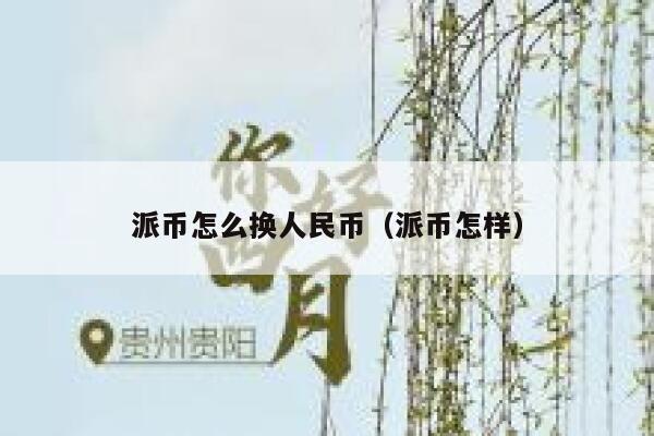 派币怎么换人民币（派币怎样） 第1张