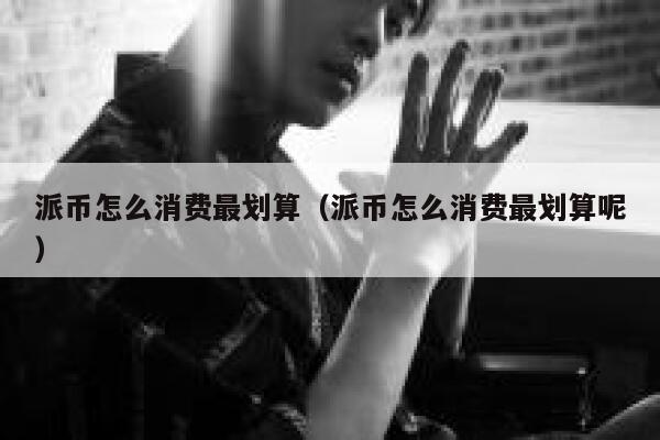 派币怎么消费最划算（派币怎么消费最划算呢） 第1张