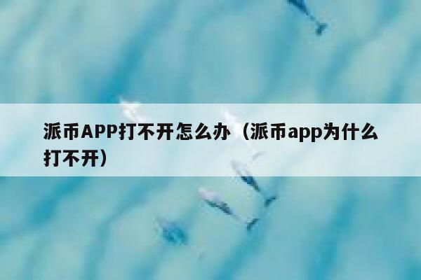 派币APP打不开怎么办（派币app为什么打不开） 第1张