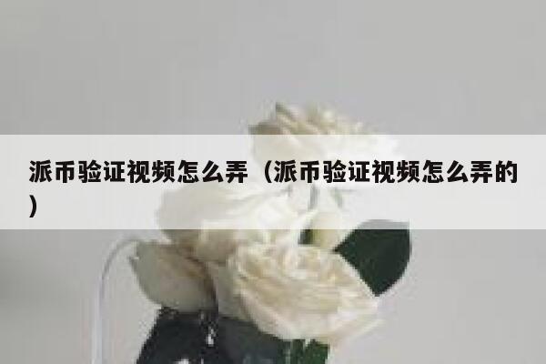 派币验证视频怎么弄（派币验证视频怎么弄的） 第1张