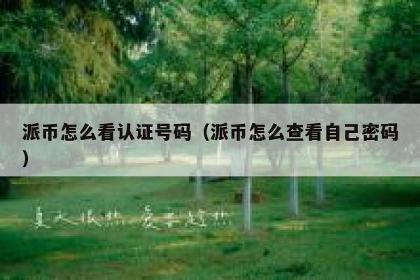 派币怎么看认证号码（派币怎么查看自己密码） 第1张