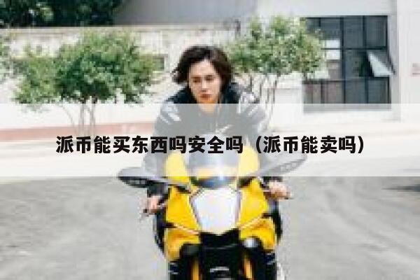 派币能买东西吗安全吗（派币能卖吗） 第1张
