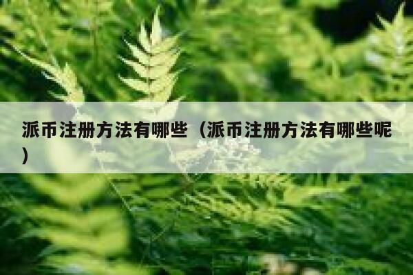 派币注册方法有哪些（派币注册方法有哪些呢） 第1张