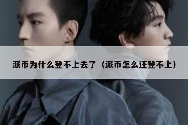 派币为什么登不上去了（派币怎么还登不上） 第1张