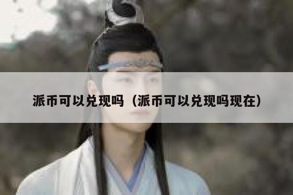 派币可以兑现吗（派币可以兑现吗现在） 第1张
