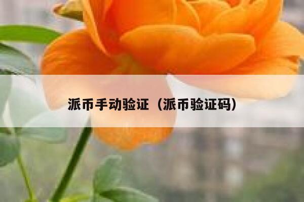 派币手动验证（派币验证码） 第1张