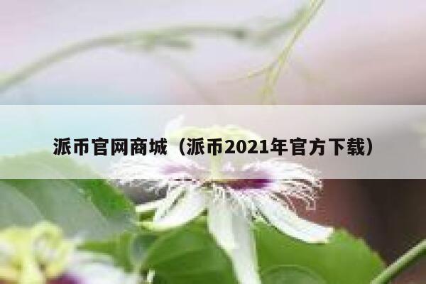 派币官网商城（派币2021年官方下载） 第1张