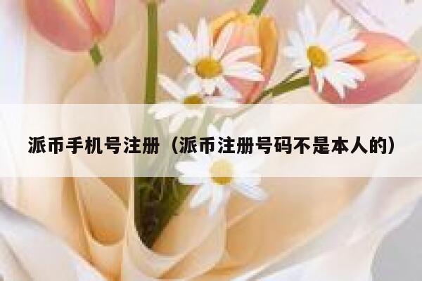 派币手机号注册（派币注册号码不是本人的） 第1张
