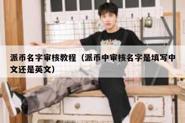 派币名字审核教程（派币中审核名字是填写中文还是英文） 第1张
