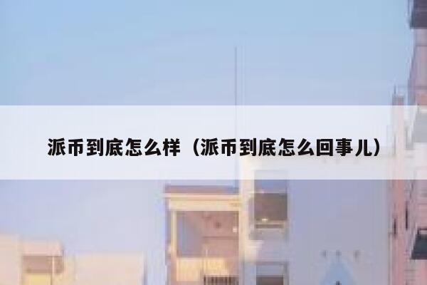 派币到底怎么样（派币到底怎么回事儿） 第1张