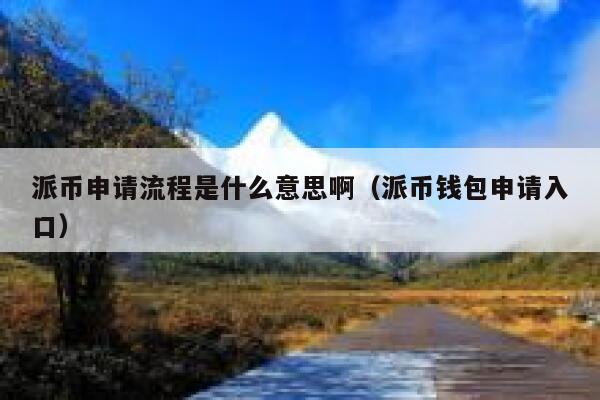 派币申请流程是什么意思啊（派币钱包申请入口） 第1张