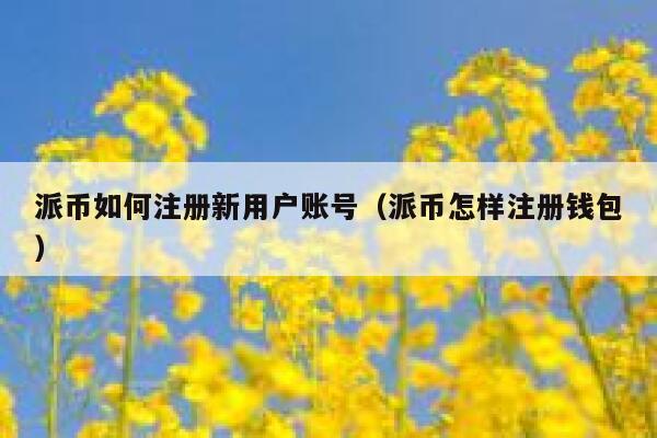 派币如何注册新用户账号（派币怎样注册钱包） 第1张