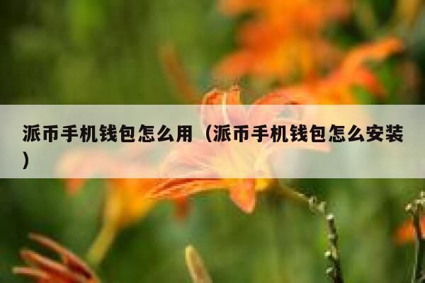 派币手机钱包怎么用（派币手机钱包怎么安装） 第1张