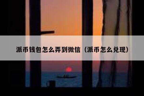 派币钱包怎么弄到微信（派币怎么兑现） 第1张