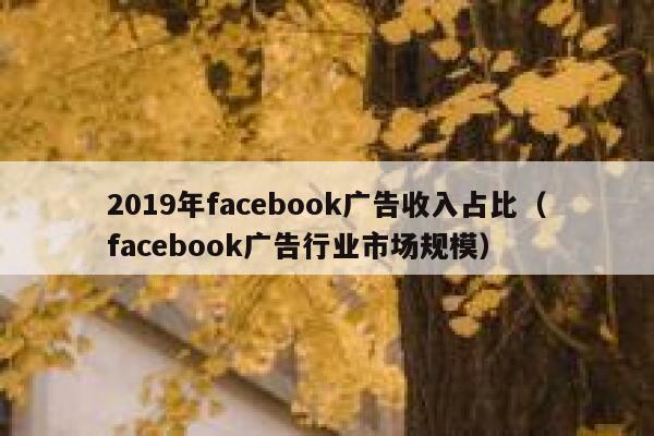 2019年facebook广告收入占比（facebook广告行业市场规模） 第1张