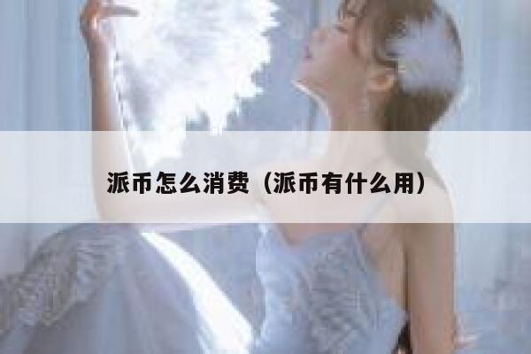 派币怎么消费（派币有什么用） 第1张