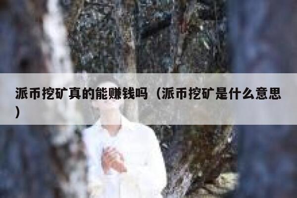 派币挖矿真的能赚钱吗（派币挖矿是什么意思） 第1张