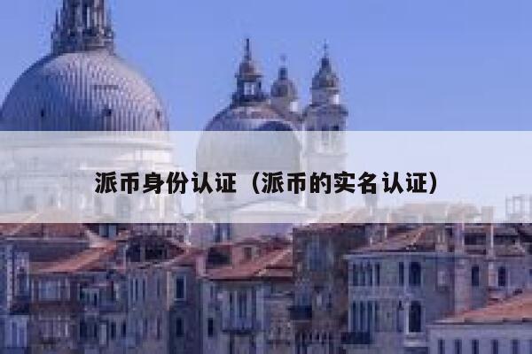 派币身份认证(派币的实名认证) 第1张 派币身份认证(派币的实名认证) 第1张