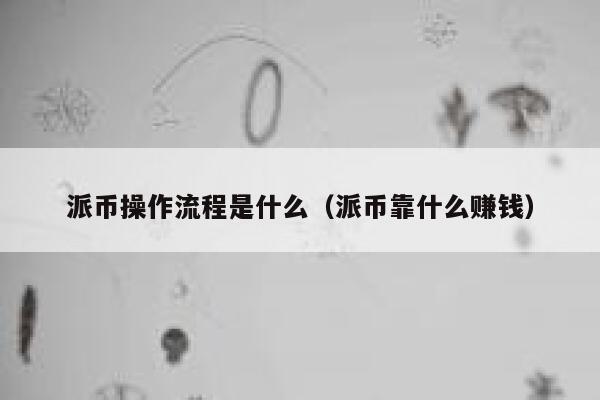 派币操作流程是什么（派币靠什么赚钱） 第1张