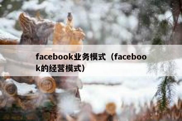 facebook业务模式（facebook的经营模式） 第1张