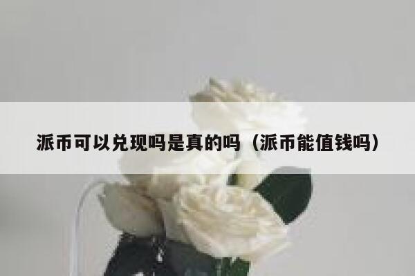 派币可以兑现吗是真的吗(派币能值钱吗) 第1张 派币可以兑现吗是真的吗(派币能值钱吗) 第1张
