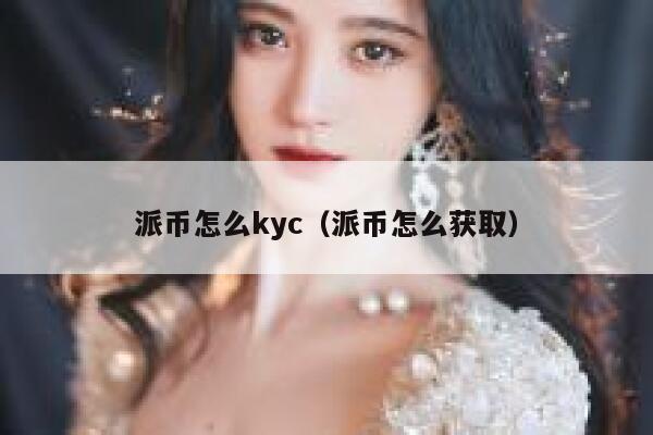 派币怎么kyc（派币怎么获取） 第1张