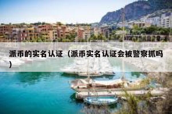 派币的实名认证（派币实名认证会被警察抓吗） 第1张